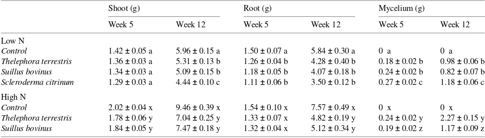 Table 1. Dry weights of shoots, roots and external mycelia (including carpophores) of mycorrhizal and non-mycorrhizal Pinus sylvestrisgrown at a low or a high nutrient addition rate