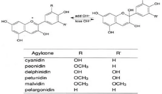 Gambar 1. Struktur Kimia Dua Bentuk Antosianin yang Berubah  