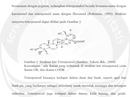 Gambar 2. Struktur Inti Triterpenoid (Sumber: Taketa dkk., 2004) Keterangan : ada ikatan yang terbentuk di struktur inti triterpenoid yaitu 