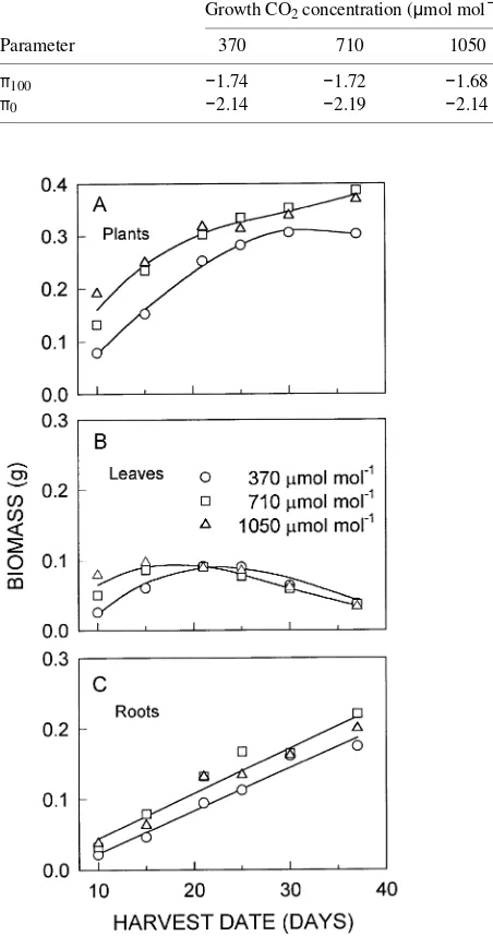 Table 1. Tissue osmotic potential at full hydration (π37 days after emergence in each of three COturgor loss point (100) and at theπ0) for seedlings of P