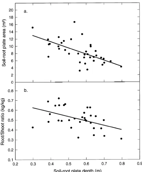 Figure 2. (a) Soil-root plate area (normalized for tree size by dividingby stem mass) against soil-root plate thickness
