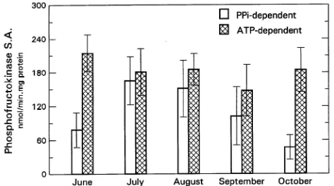 Table 1. Monthly trends over the growing season for percentage of Jeffrey pine trees on the Poison and Dry Flat sites with a PFK/SS ratio ≤ 10/1and percentage of PPi-PFK in the total PFK activity pool.