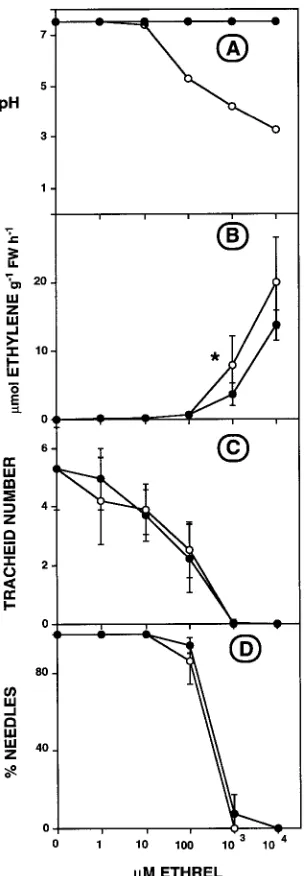 Figure 4. Ethrel solution pH (A), ethylene evolution (B), tracheidnumber (C) and percentage defoliation (D) in cuttings that werewith a nonneutralized (Ethrel for 4 weeks