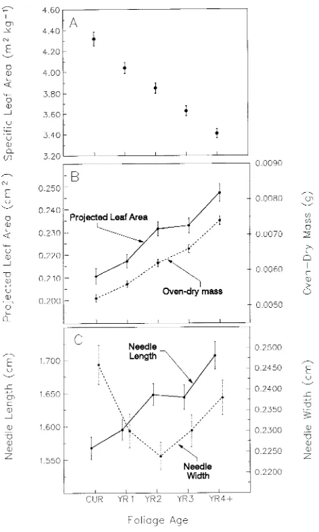 Figure 1. (A) Mean SLAs, (B) mean projected leaf areas and oven-drymass, and (C) mean needle lengths and needle widths (n301 for 1-year-old, foliage age class for the composite data (± 1 SE) byn = 308 for current-year, n =n = 265 for 2-year-old, n = 232 for 3-year-old, and = 193 for 4-year-old-plus foliage).