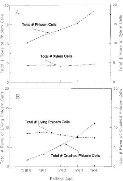 Table 4. P-Values for the nested ANOVA and factors within the nested ANOVA by foliage age class for the model: Y = Fa + S + FaS + N(S) + Vb(N)+ ε1, where Y = number of xylem, total phloem (TP), live phloem (LP) or crushed phloem (CP) cells, Fa = foliage age (current-year, 1-year-old,2-year-old, 3-year-old or 4-year-old), S = upper, middle or lower crown section, N(S) = nested needle effect within S, and Vb(N) = nested vascularbundle effect within needle.