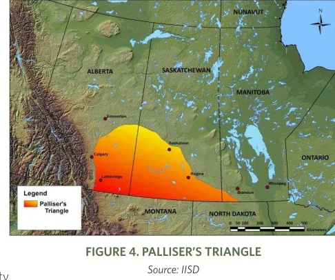 FIGURE 4. PALLISER’S TRIANGLE