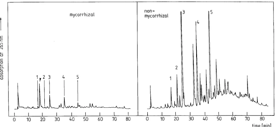 Figure 1. The HPLC profiles of soluble phenolics of mycorrhizas of Larix decidua--Laccaria amethystea and nonmycorrhizal fine roots