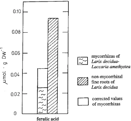 Figure 3. Comparison of insoluble ferulic acid from mycorrhizas ofLarix decidua--Laccaria amethystea with that from nonmycorrhizalfine roots