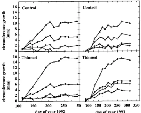 Figure 10. Seasonal course of mean growth in girth in control andthinned stands during 1992 (left side) and 1993 (right side)