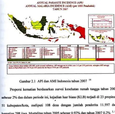Gambar 2.1 API dan AMI Indonesia tahun 20A7 