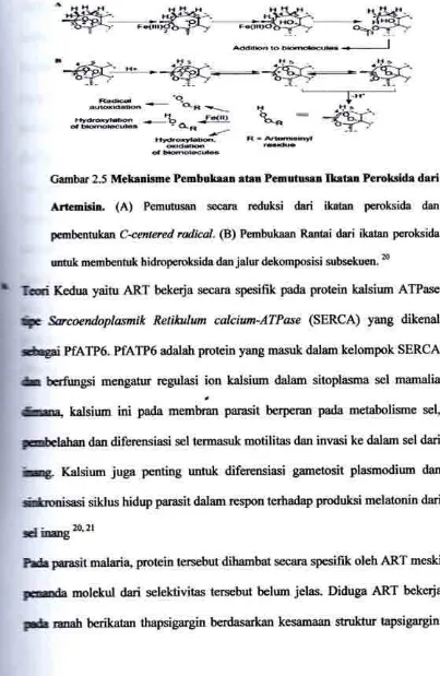 Gambar 2.5 Mekrnisme Pembukaan atau Pemutusan Ikatan Peroksida dari