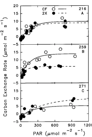 Figure 1. The relationship between leaf age class and leaf plastochronindex (LPI, Larson and Isebrands 1971)