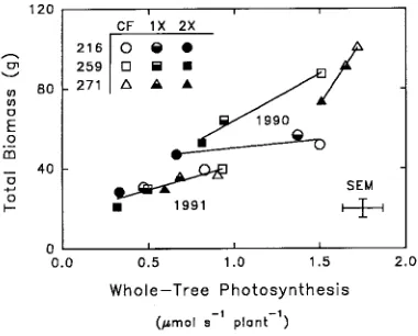 Figure 9. Total biomass and whole-tree photosynthesis (WTP) deter-