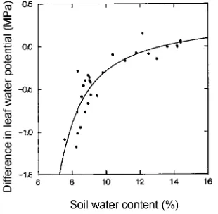 Figure 5. Change in net CO2 assimilation rate (A) in well-watered anddrought-treated trees over 31 weeks