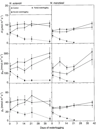 Figure 6. Changes in net photosynthesis(ual conductance (logging. Vertical bars indicate standardA), stomatal conductance (gsw), and resid-grc) in response to water-errors of means of five measurements.