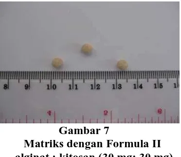 Gambar 6        Matriks dengan Formula I     alginat : kitosan (10 mg: 10 mg)  