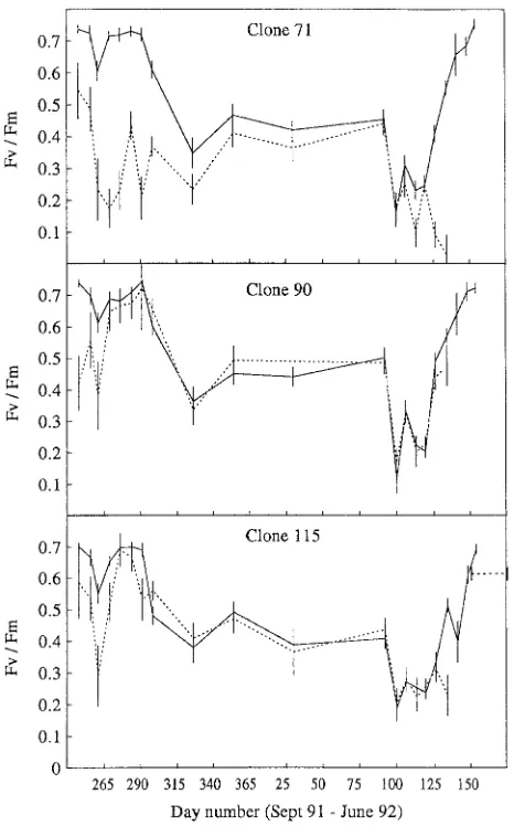 Figure 3. Mean values of the variable chlorophyll fluorescence ratio,Fv/Fm, for Clones 71, 90 and 115 from September 1991 to June 1992,before freezing (solid line) and after freezing to −15 °C (dotted line).Standard error of the means are indicated by vert