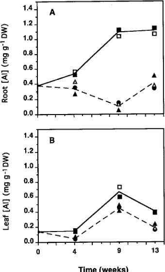 Figure 6. (A) Root Al concentration, (B) leaf Al concentration, and (C)soil water content (SWC) at Weeks 4, 9 and 13 (n = 9)