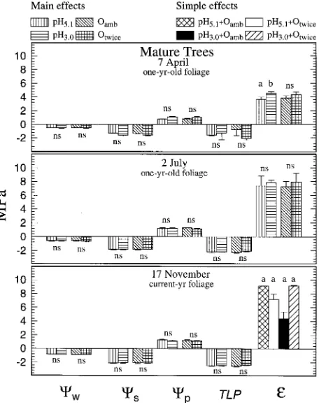 Figure 2. Effects of acid rain and O3symplastic water (letters over bars show significant treatment effects (ns = nonsignificantare shown because rain  on total water content (Vt) andVs) of ponderosa pine seedlings