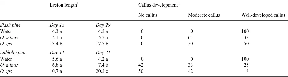 Table 1. Mean lesion length (mm) and percentage of wounds with different amounts of callus tissue around the margins of wounds after inoculatingstem sections of 2-year-old slash pine and loblolly pine with sterile water, or spores of O