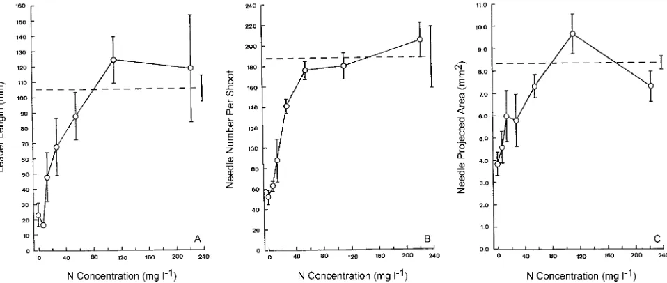 Figure 1. Leader length (A), needle number per shoot (B) and needle projected area (C) plotted against concentration of N supplied to N-deficient±
