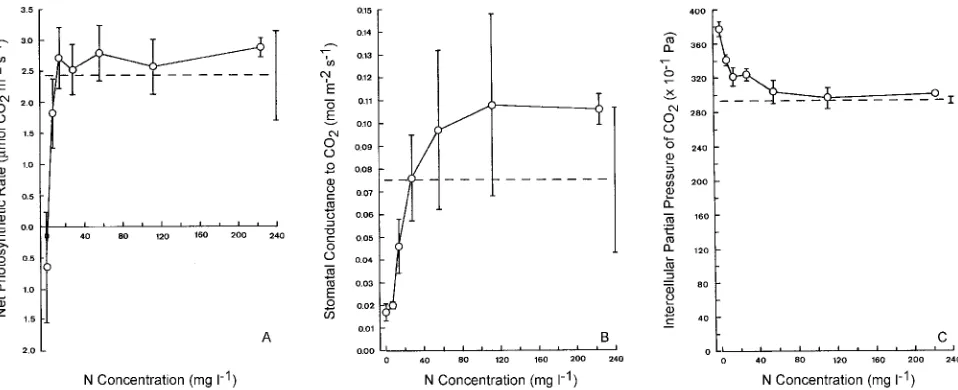 Figure 4. Net photosynthetic rate (A), stomatal conductance to CO2trees of trees in August 1989