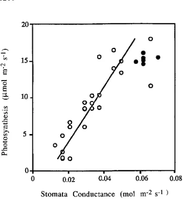 Figure 5. Relation between stomatal conductance and net photosynthesis for foliage from Pinus radiatamfrom trees growing within a 400 m radius