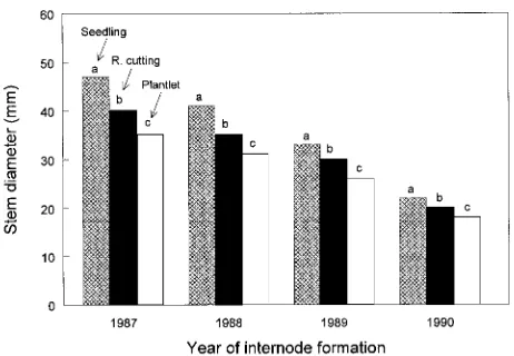 Figure 3. Height growth of genetically matched Douglas-fir seedlings, rooted cuttings and plantlets on afield site