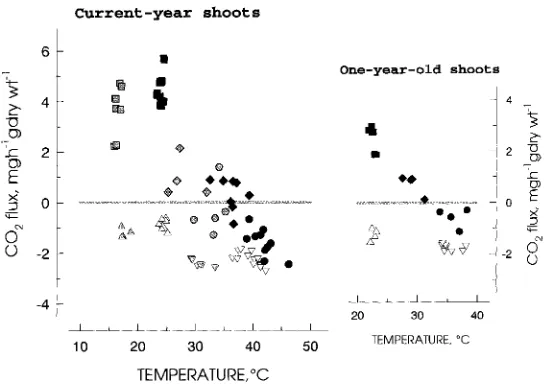 Figure 3. Effect of temperature on CO exchange in (A) current-year needles and (B) 1-year-old needlesShaded symbols denote data collected in 1989; other symbols denote data collected in 1990