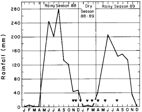 Figure 1. Annual distribution of rainfall in the study site, Sembra, Edo. Cojedes. Rainfall collector waslocated about 2 km south of the study site