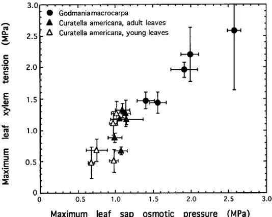 Table 2. Differences in leaf sap osmolality (mmol kg−(mol m1), potassium and soluble sugars concentrations−3) in young and adult leaves of Godmania macrocarpa and Curatella americana