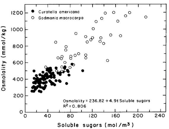 Figure 4. Relationship between soluble sugars concentration and osmolality of leaf sap.