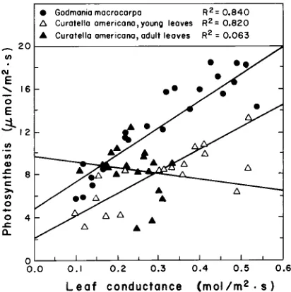 Table 3. Intrinsic water-use efficiency (IWUE), calculated as the average ratio of maximum photosyn-thesis and leaf conductance, and instantaneous N-use efficiency (INUE), calculated as the average ratioof maximum photosynthesis and leaf nitrogen concentra