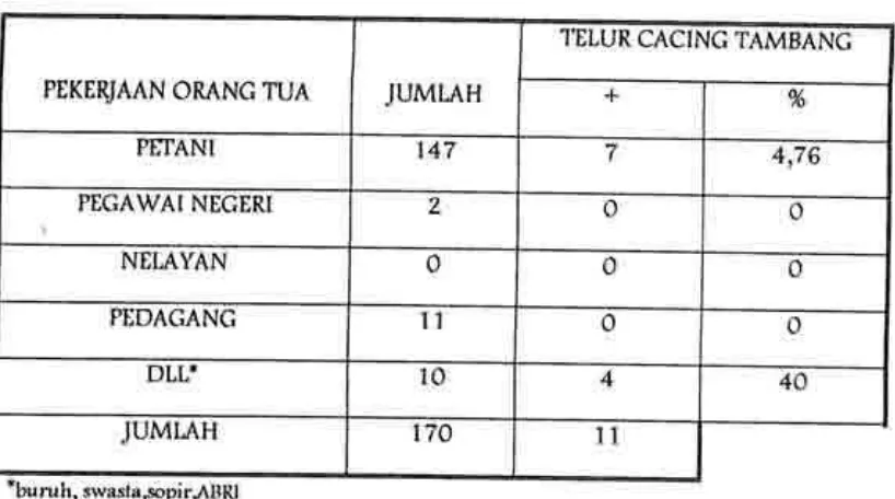 Tabel 7. Frekuensi Infeksi cacing Tambangpada murid sDN 12 Sungai sapih. berdasarkan pekerjaan omng tua