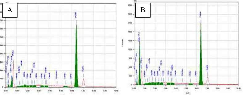 Gambar 5. Grafik dikontakkan selama 3 hari (A) tanpa KMK dan (B) dengan KMK 300 ppm SEM-EDX permukaan baja lunak dalam air gambut yang  