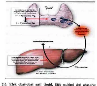 Gambar 2.6. Efek obat-obat anti tiroid. Efek multipel dari obat-obat anti tiroid