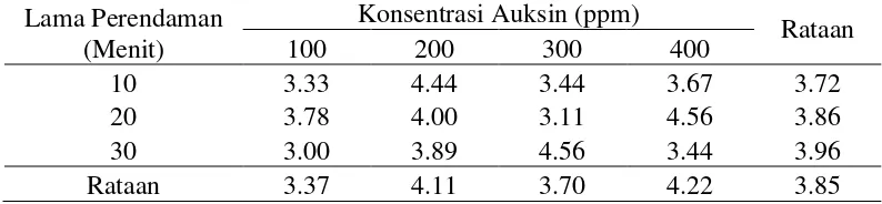 Tabel 3. Jumlah tandan buah (tandan)  tanaman tomat pada berbagai perlakuan     konsentrasi dan lama perendaman auksin 