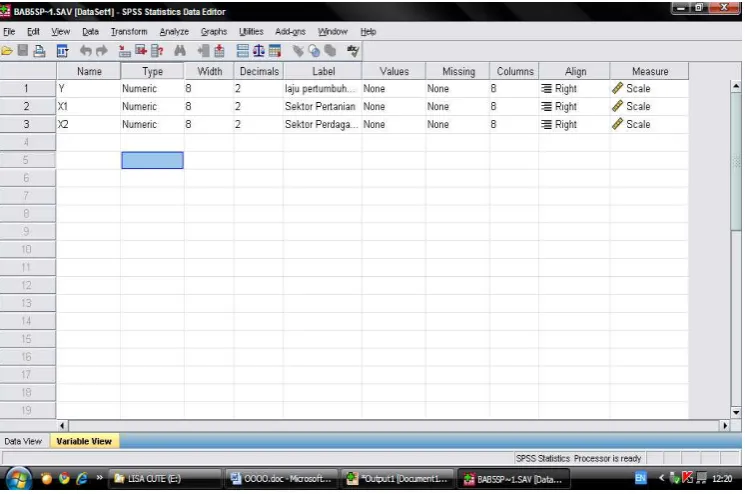 Gambar  5.4 Tampilan Pengisian Data Variabel pada Variable View 