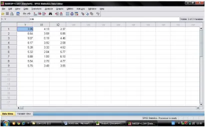 Gambar 5.5 Tampilan Pengisian Data Variabel pada Data View 
