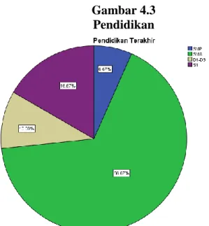 Gambar 4.3  Pendidikan 