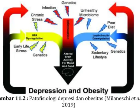 Gambar 11.2 : Patofisiologi depresi dan obesitas (Milaneschi et al.,  2019) 