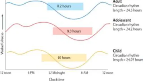 Gambar 11.3 : Ritme Durasi Tidur (Gradisar et al., 2022)  Pada studi meta-analisis dari 74 peneliti terhadap 361.505  remaja menemukan bahwa gangguan tidur dikaitkan dengan 55% 
