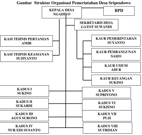 Gambar  Struktur Organisasi Pemerintahan Desa Sripendowo  BPD 