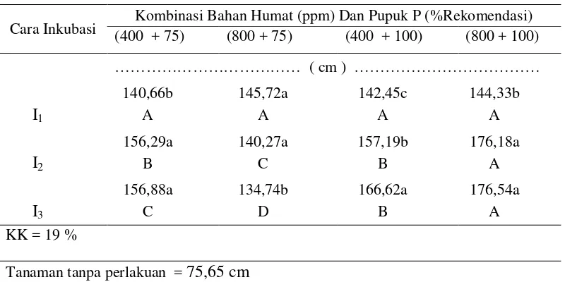 Tabel 12 . Pengaruh interaksi pemberian bahan  humat (Subbituminus) dan pupuk Pdengan berbagai cara inkubasi terhadap tinggi tanaman jagung