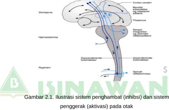  Gambar 2.1. Ilustrasi sistem penghambat (inhibsi) dan sistem  penggerak (aktivasi) pada otak 