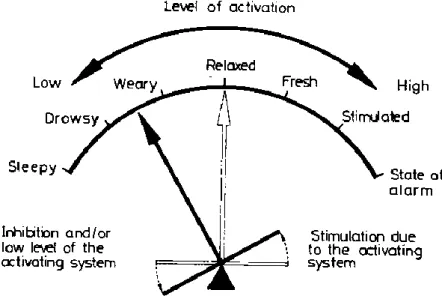 Gambar 2.2. Ilustrasi yang menunjukkan mekanisme neurofisiologis  sebagai pengatur fungsi keseimbangan dari organisme 