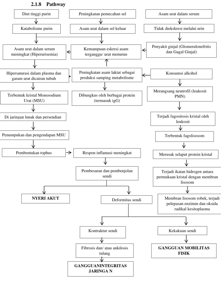Gambar 2.1 Pathway Gout 