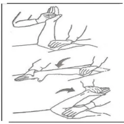 Gambar 2.7 Latihan Rotasi Lengan. 