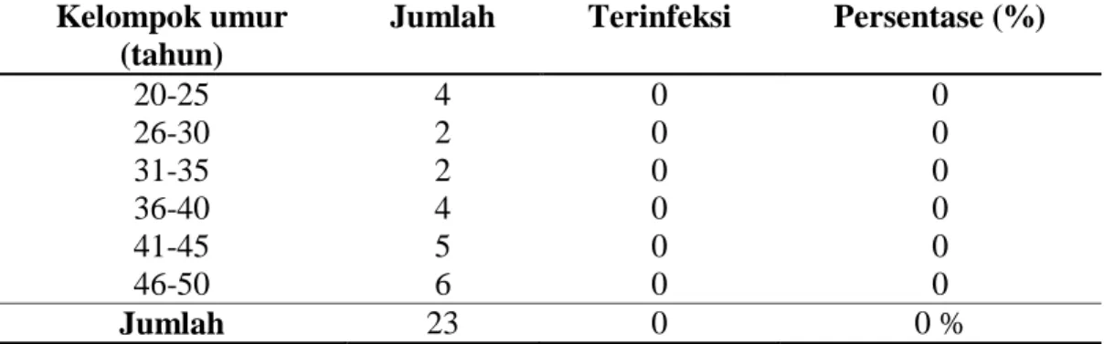 Tabel 4.3 Distribusi frekuensi infeksi  telur cacing Soil Transmitted Helminth   berdasarkan kelompok umur pada sampel kuku pekerja pembuat  batu bata di Lubuk Alung Pariaman