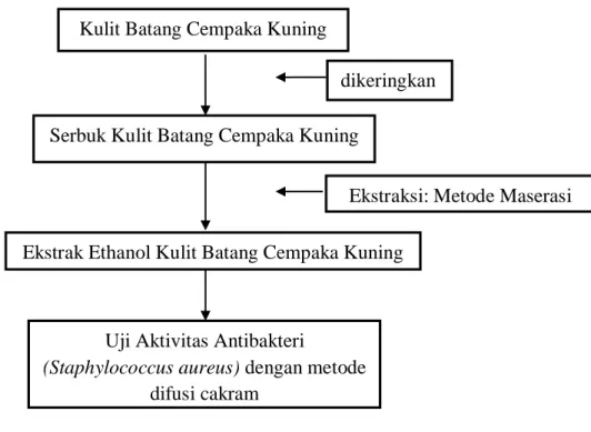 Gambar 4.2 Alur Penelitian 